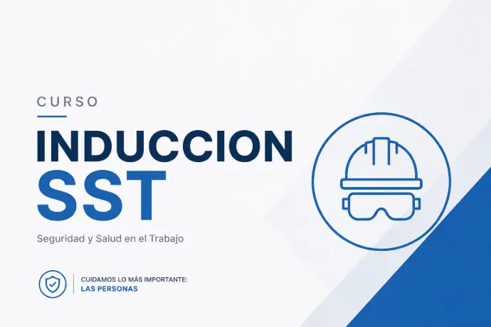 DEMO: INDUCCION SSOMA